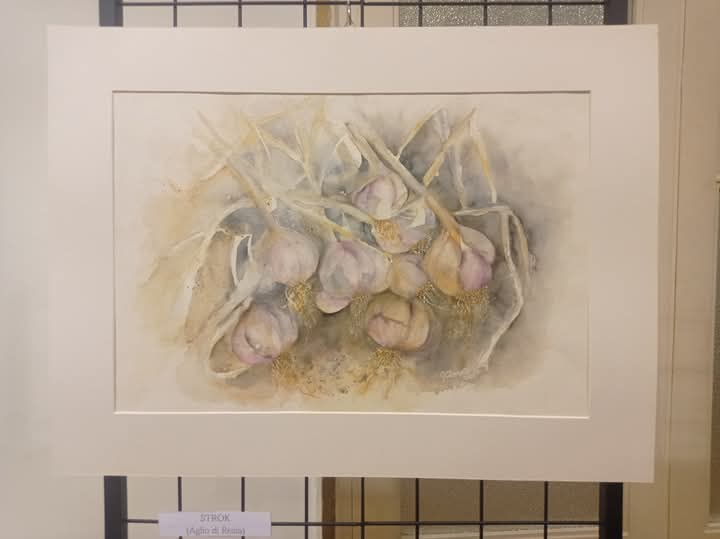 Mostra Clemente 2025 08 - Unione degli Istriani