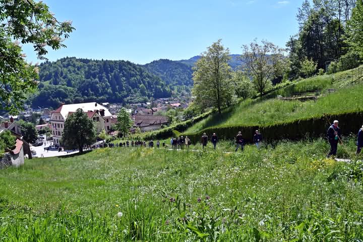 Pellegrinaggio 2025.05.10 7 - Unione degli Istriani